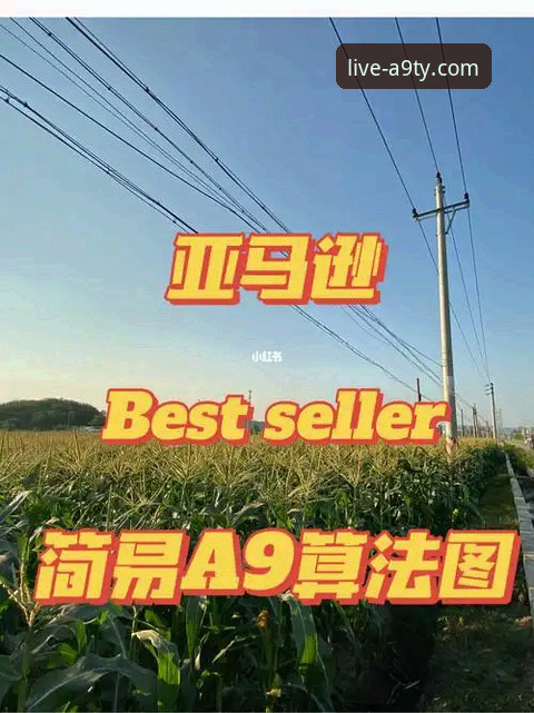 a9体育直播App最新版本全面解析：功能升级与新手使用指南