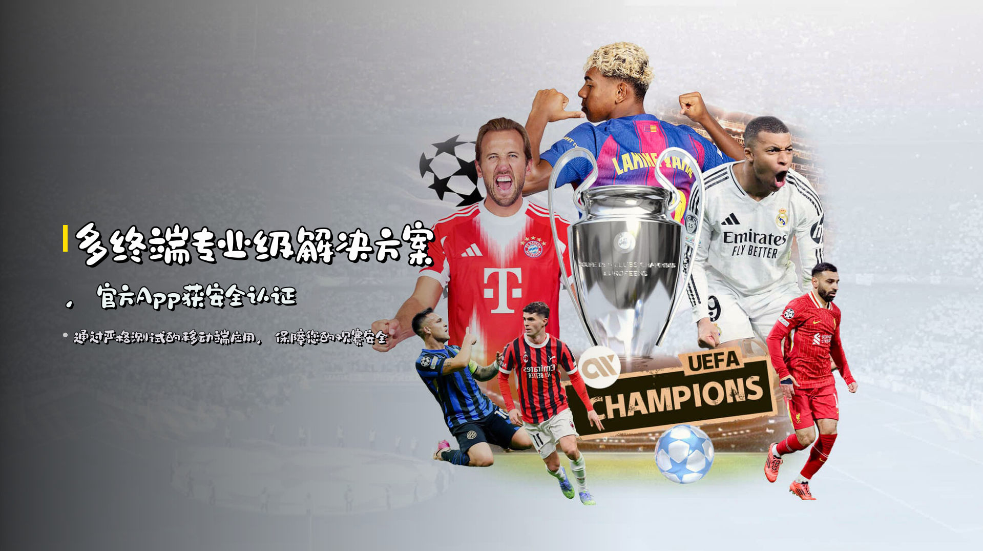 多终端专业级解决方案，<strong>官方App获安全认证</strong>